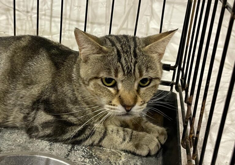 multimedia-foto80687-159-1