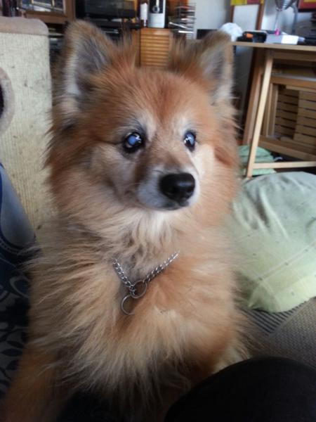 multimedia-foto80716-544-1