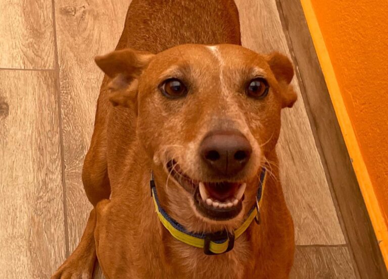 multimedia-foto80735-98-1