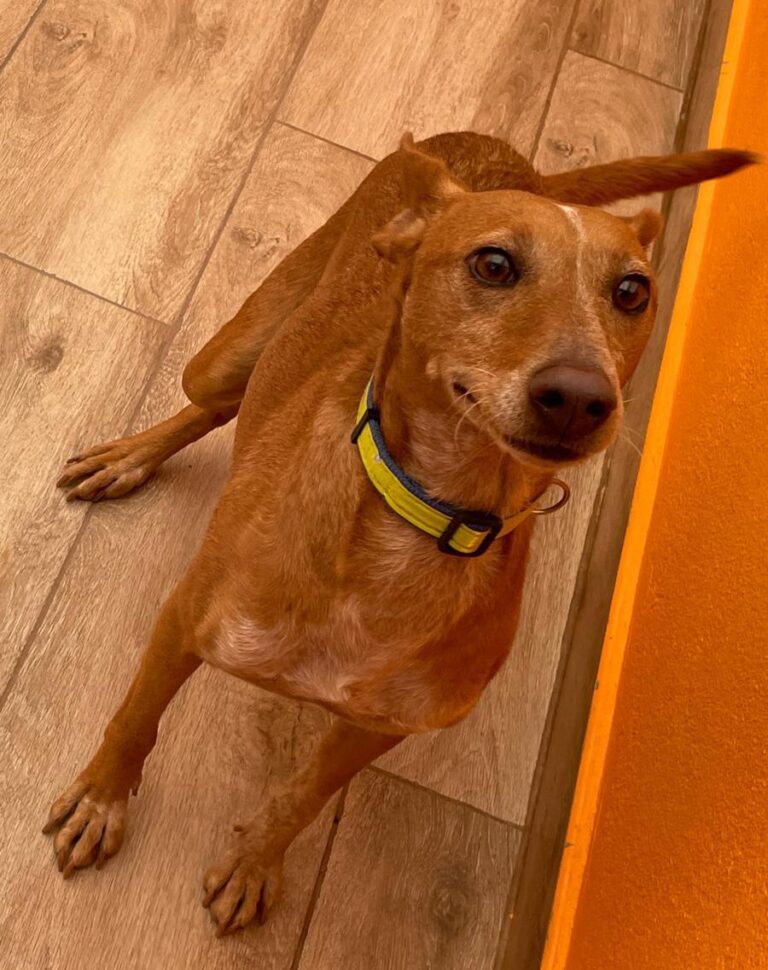 multimedia-foto80736-98-1