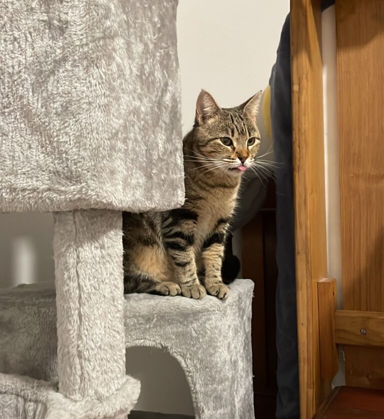 multimedia-foto80739-269-1