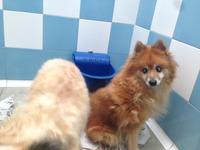 multimedia-foto80740-372-1