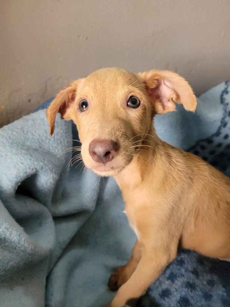 multimedia-foto80753-936-1