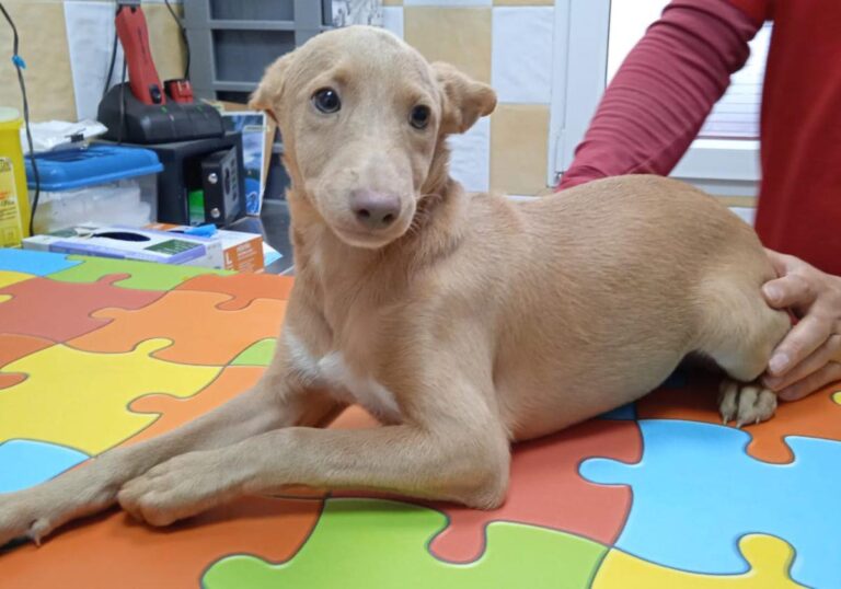 multimedia-foto80757-937-1