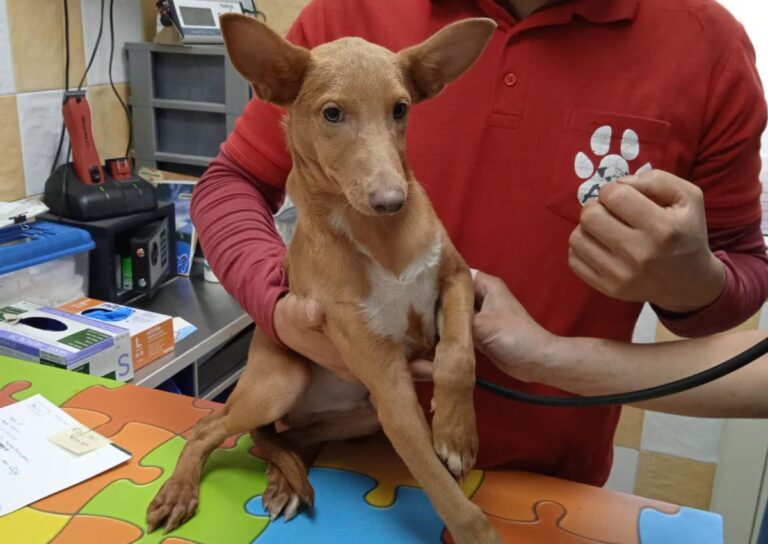 multimedia-foto80766-75-1