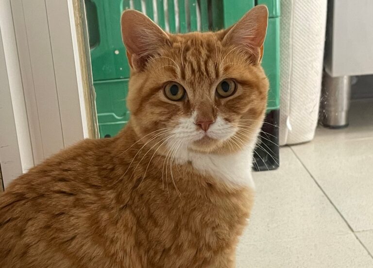 multimedia-foto80842-341-1