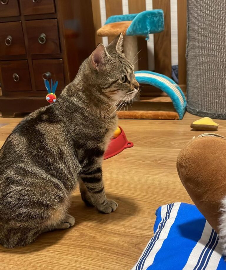 multimedia-foto80861-442-1