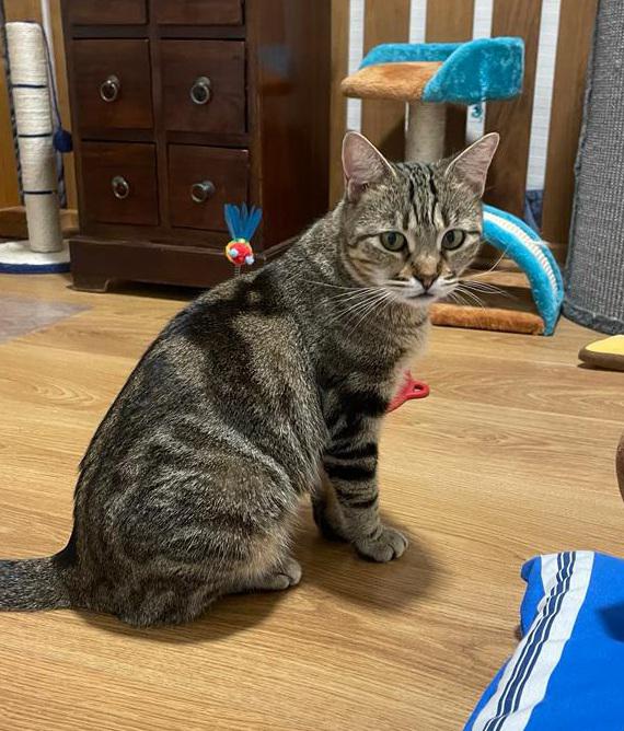 multimedia-foto80862-443-1