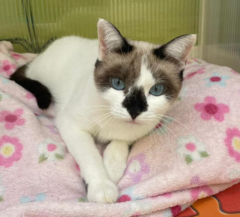 multimedia-foto80864-509-1