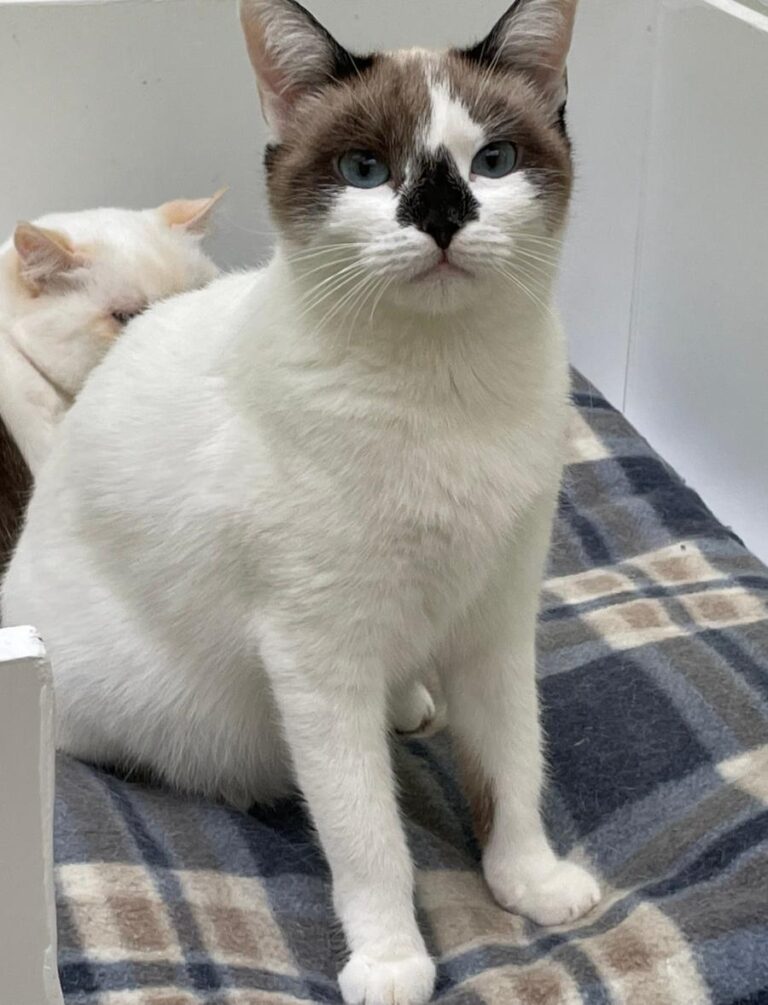 multimedia-foto80900-935-1