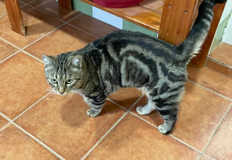 multimedia-foto80901-6-1