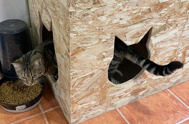 multimedia-foto80902-7-1