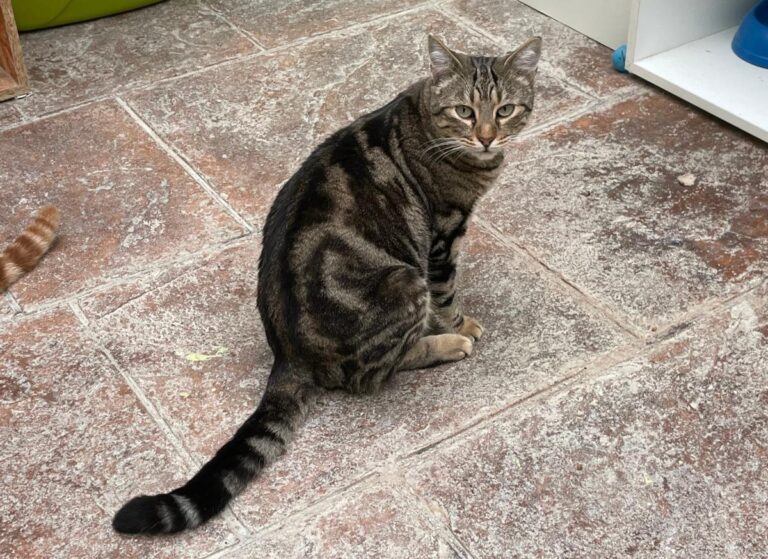 multimedia-foto80905-7-1