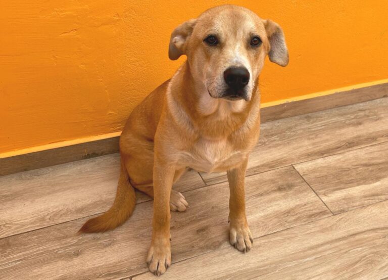 multimedia-foto80925-834-1