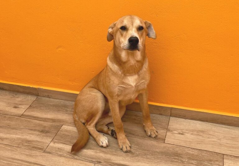 multimedia-foto80926-835-1