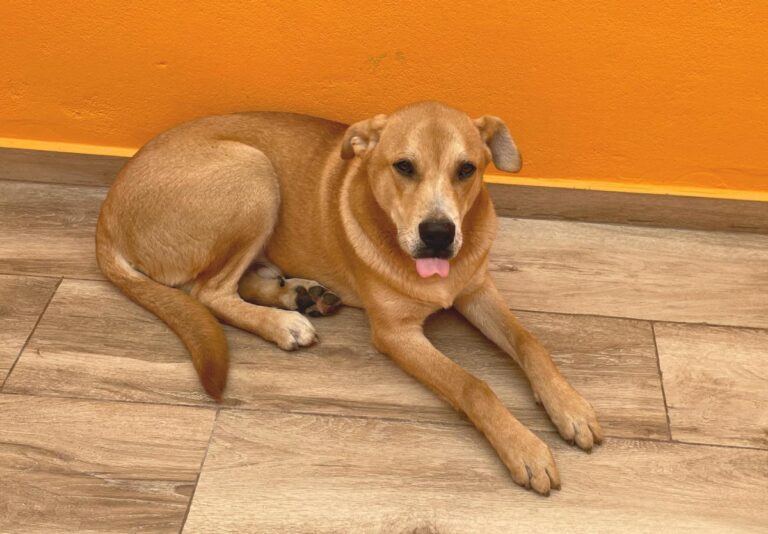 multimedia-foto80927-835-1