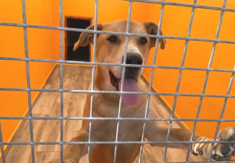 multimedia-foto80928-835-1