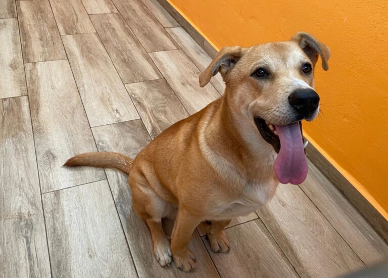 multimedia-foto80929-835-1