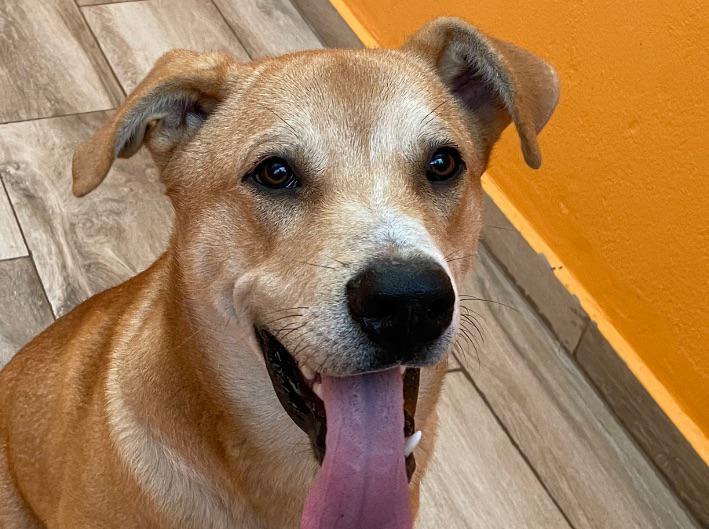 multimedia-foto80930-835-1