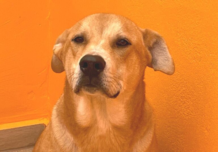 multimedia-foto80931-836-1