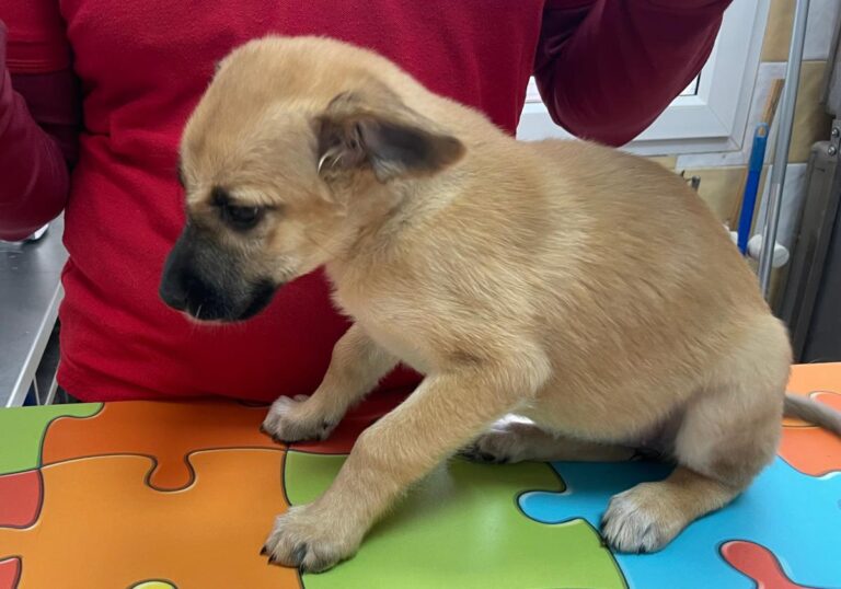 multimedia-foto80934-525-1