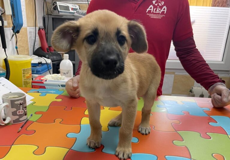 multimedia-foto80935-525-1