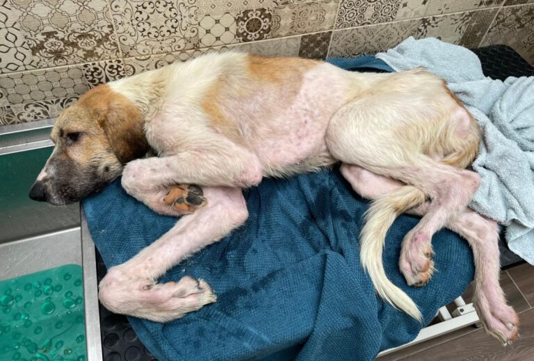 multimedia-foto80952-286-1