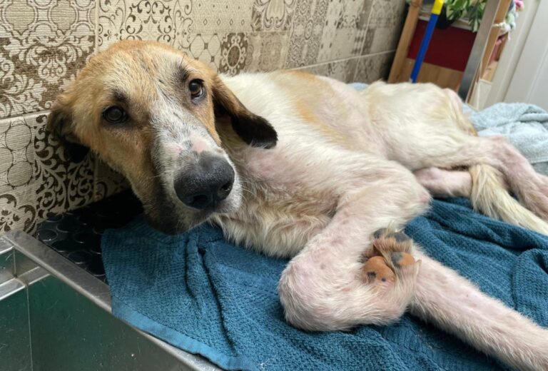 multimedia-foto80953-286-1