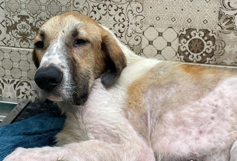 multimedia-foto80957-287-1