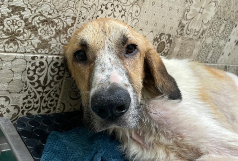 multimedia-foto80958-287-1