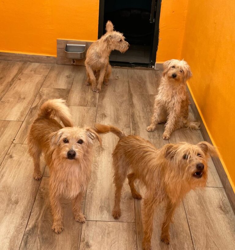 multimedia-foto80969-189-1