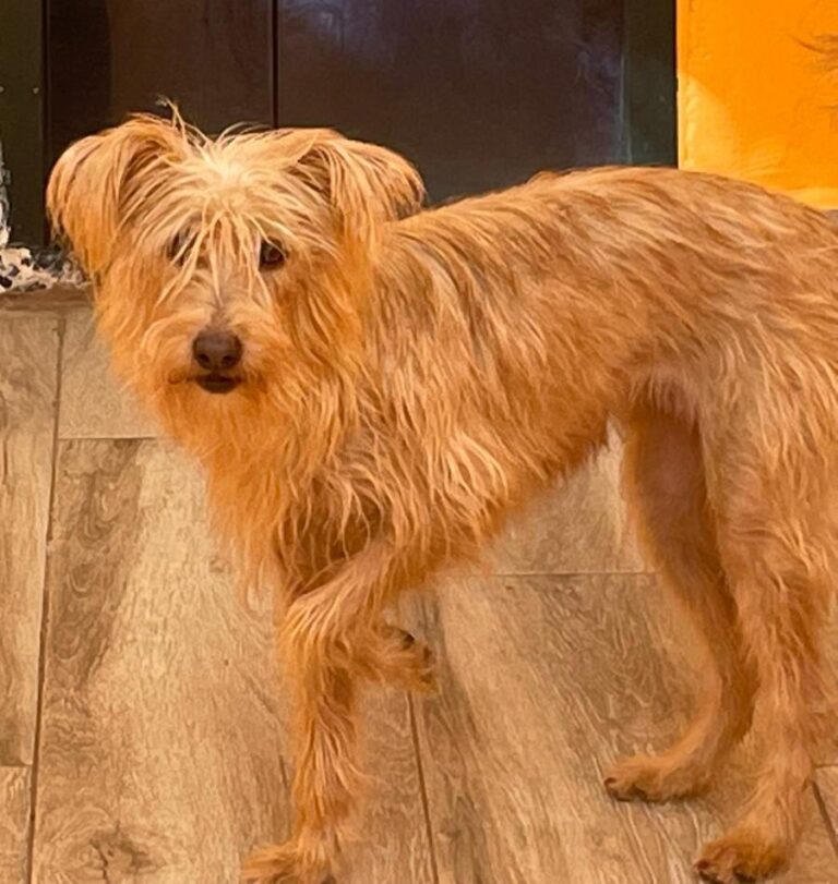 multimedia-foto80970-190-1