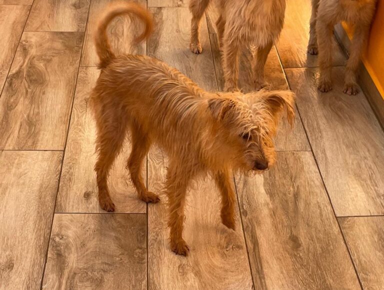 multimedia-foto80971-190-1