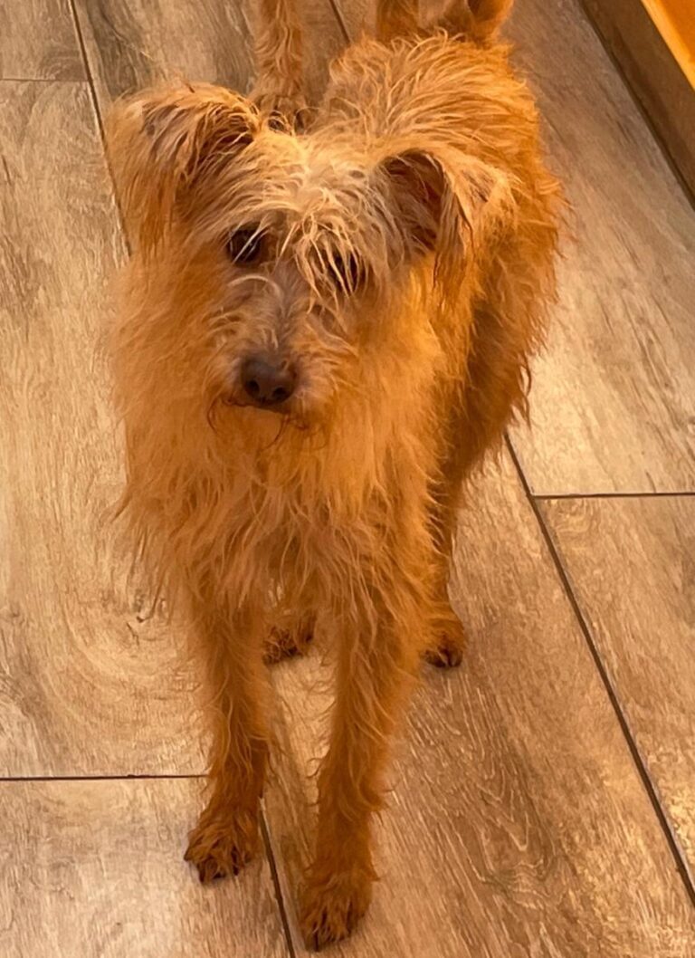 multimedia-foto80972-190-1