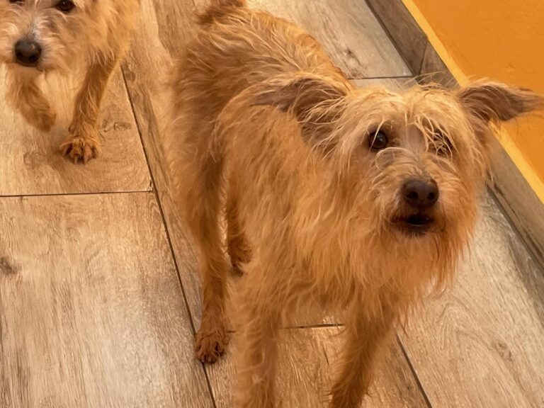 multimedia-foto80973-190-1