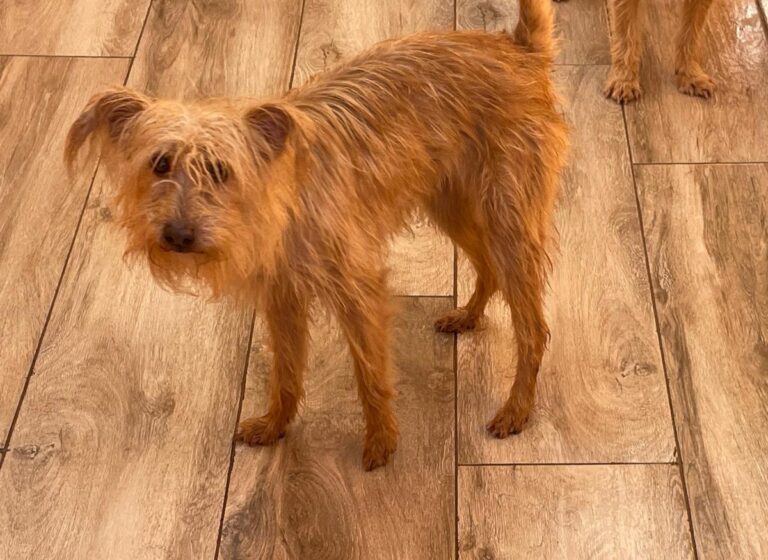 multimedia-foto80974-190-1