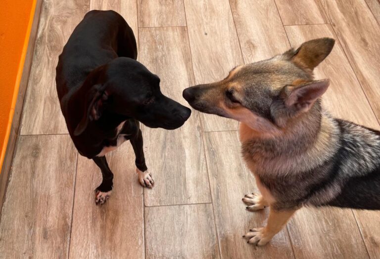 multimedia-foto80987-881-1