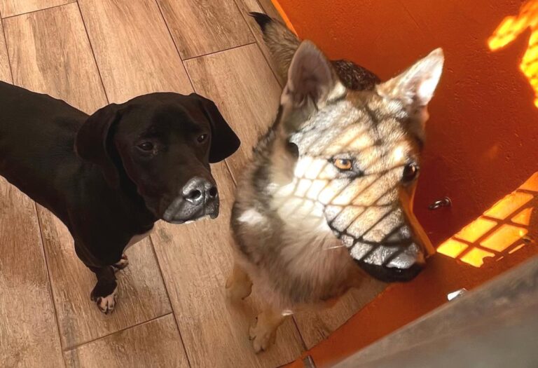 multimedia-foto80988-881-1