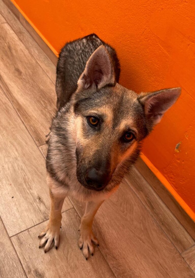 multimedia-foto80989-881-1