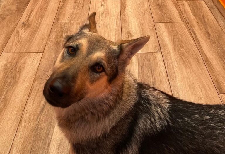 multimedia-foto80991-882-1