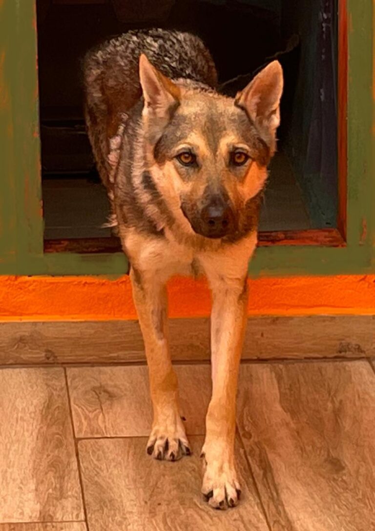 multimedia-foto80992-882-1