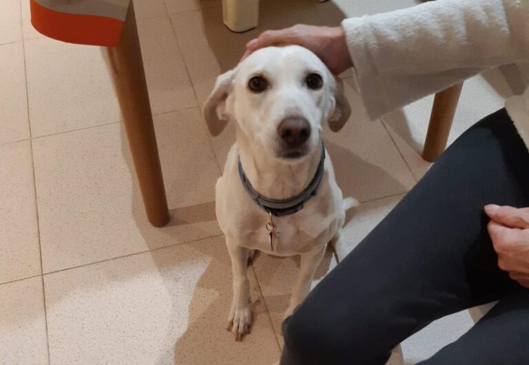 multimedia-foto81022-735-1