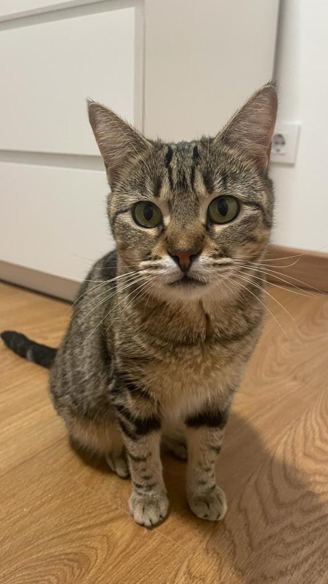 multimedia-foto81023-933-1