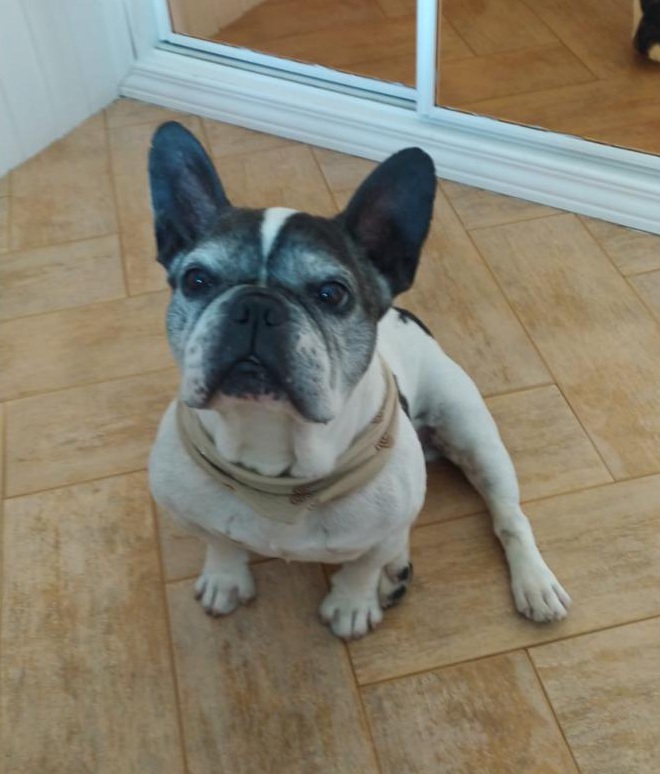 multimedia-foto81028-861-1