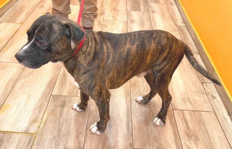 multimedia-foto81035-534-1