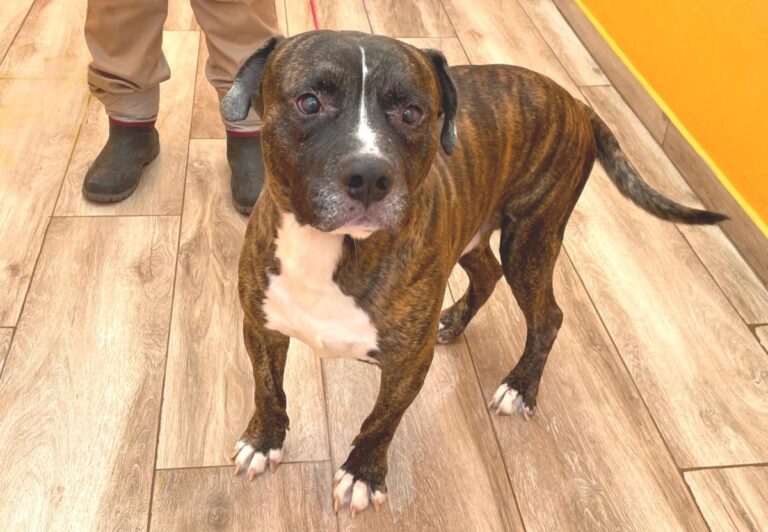 multimedia-foto81037-534-1