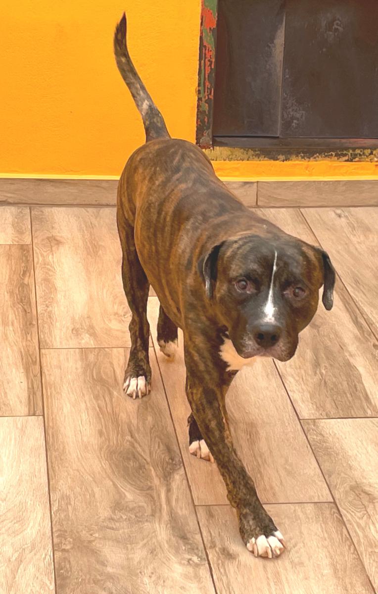 multimedia-foto81040-535-1