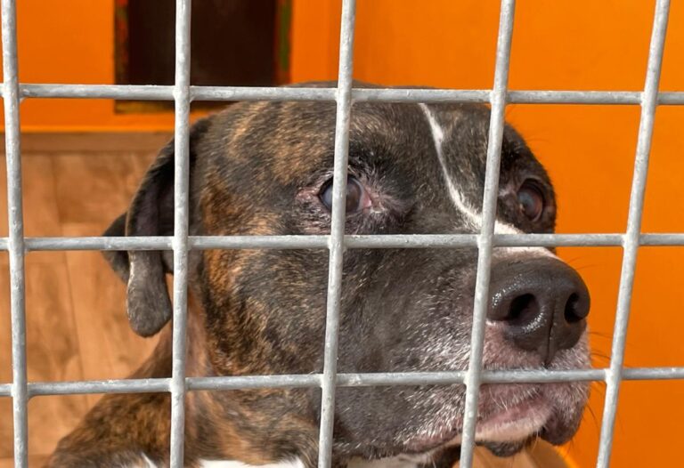 multimedia-foto81041-535-1