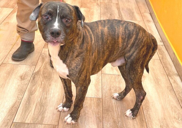 multimedia-foto81043-535-1