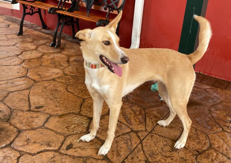 multimedia-foto81059-686-1